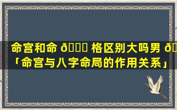 命宫和命 🕊 格区别大吗男 🐧 「命宫与八字命局的作用关系」